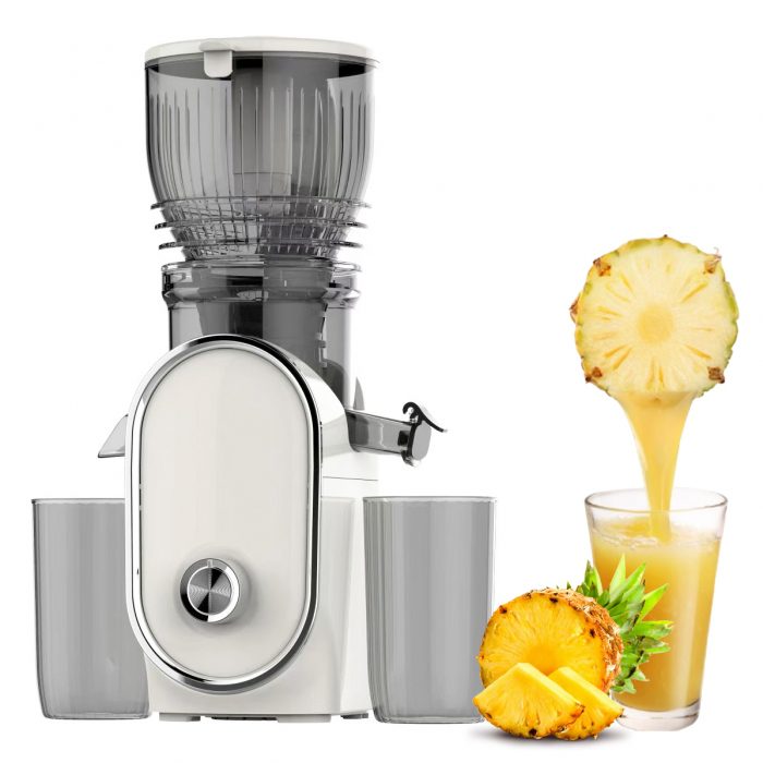 SU-865 300W Masticating Slow Juicer - Image 3