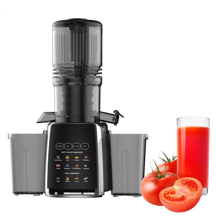 SU-869 300W Slow Masticating Juicer - Image 5